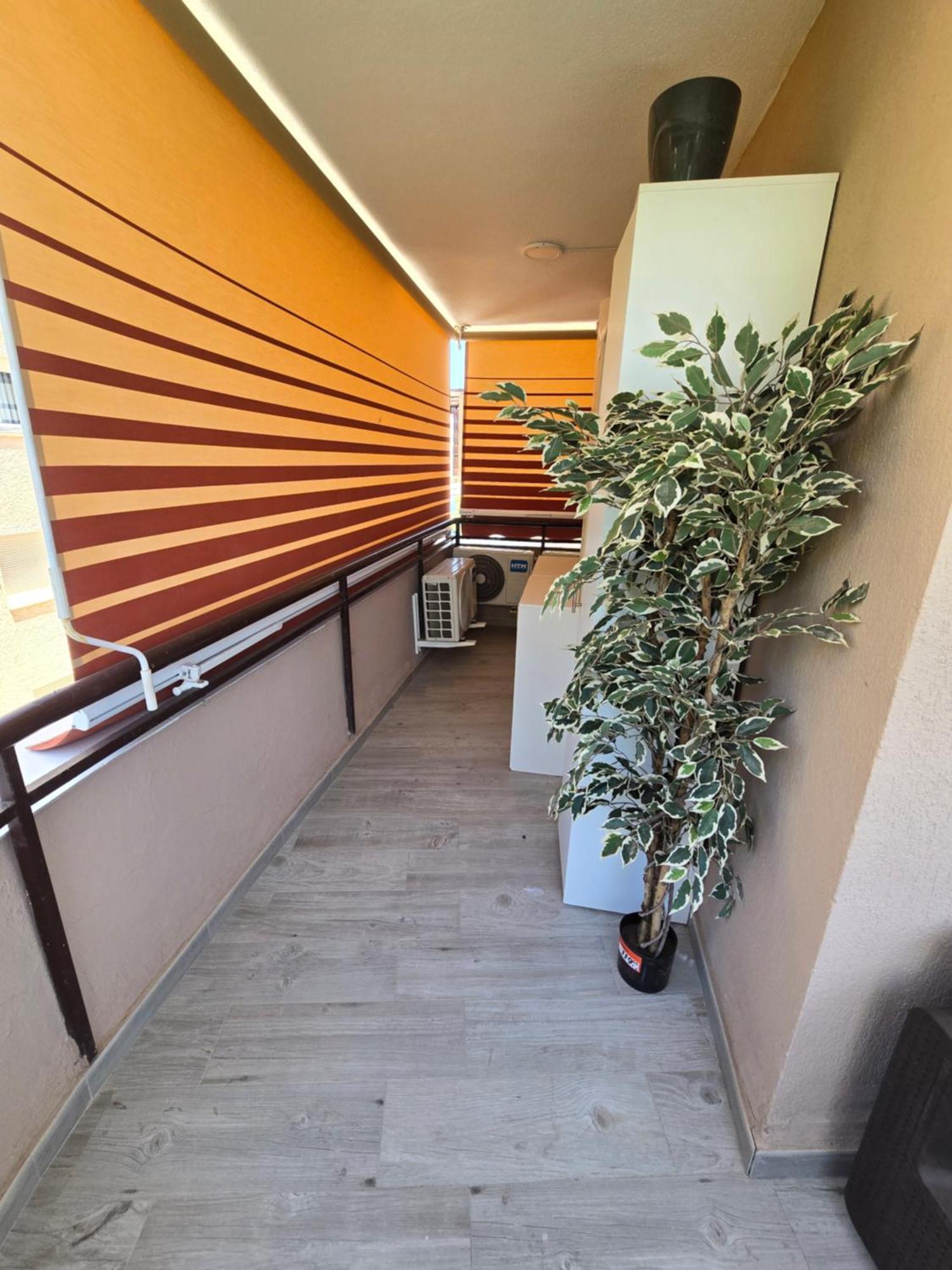 Apartamento Alzahir Marbella Dış mekan fotoğraf